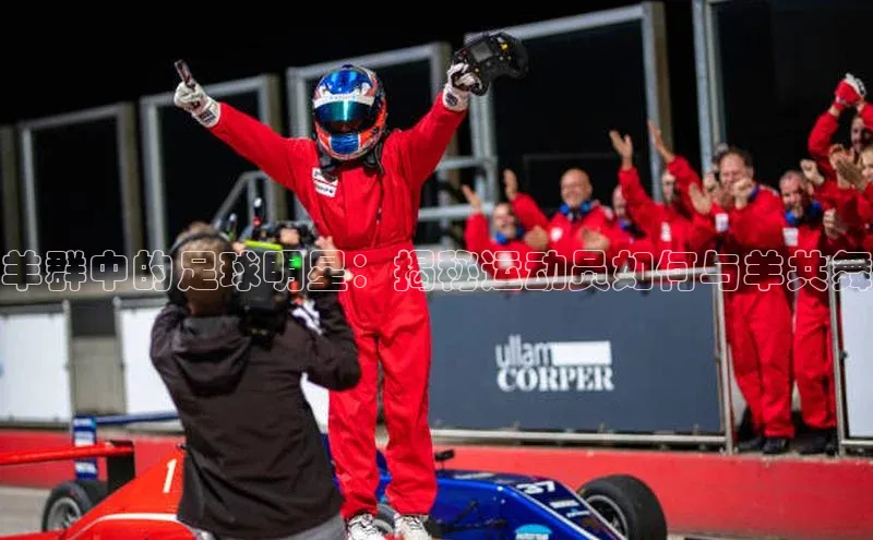 门徒平台注册中心美团羊群中的足球明星：揭秘运动员如何与羊共舞