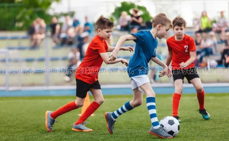 门徒平台登录地址百度众测如何培养一个成功的足球运动员特效，全面解析技巧和训练方法