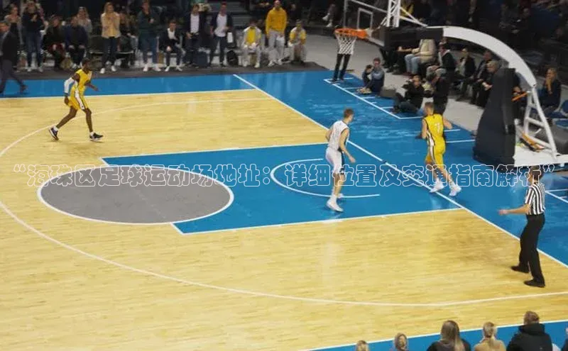 门徒登录入口挪威主权基金“海珠区足球运动场地址：详细位置及交通指南解析”