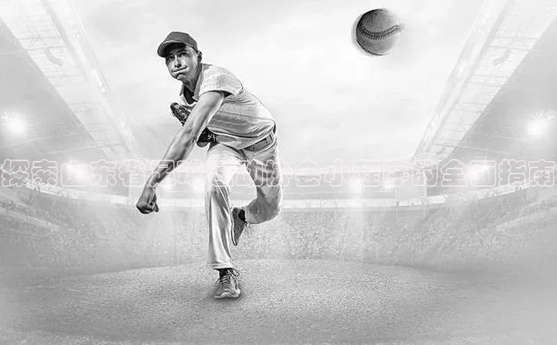 门徒登陆入口百度智能云探索山东省足球运动协会小程序的全面指南