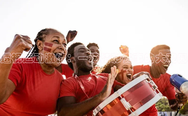 透视运动激情：一场精彩赛事的大观园