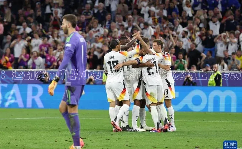 ：运动赛事中的小知识，助你成为赛场上的专家