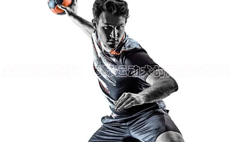 全球顶级赛事：国际运动犬的风采与挑战