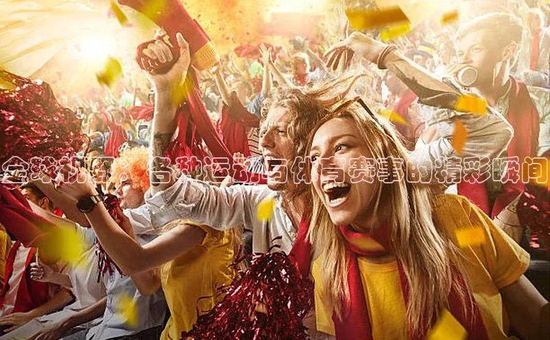 全球视野：各种运动与体育赛事的精彩瞬间