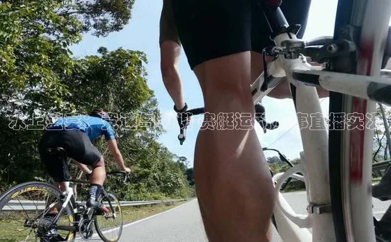 水上盛宴：竞速与和谐-赛艇运动赛事直播实况