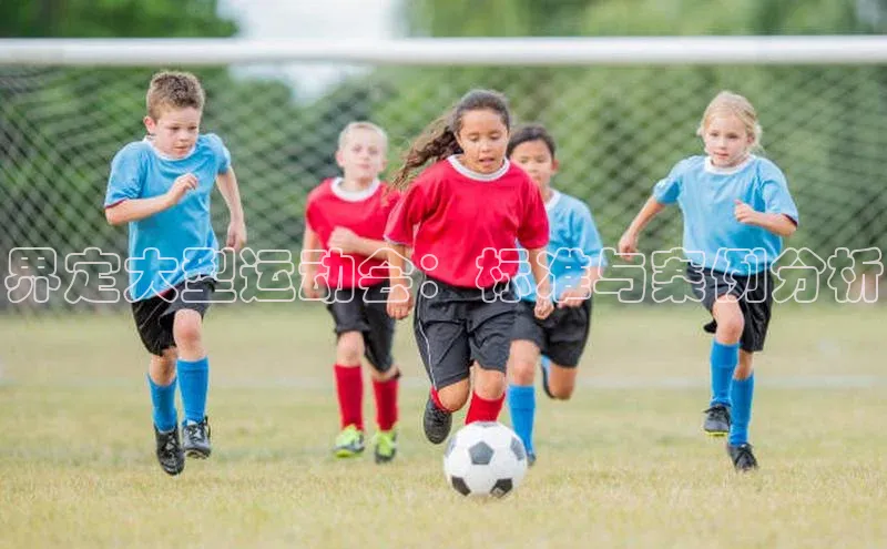 界定大型运动会：标准与案例分析