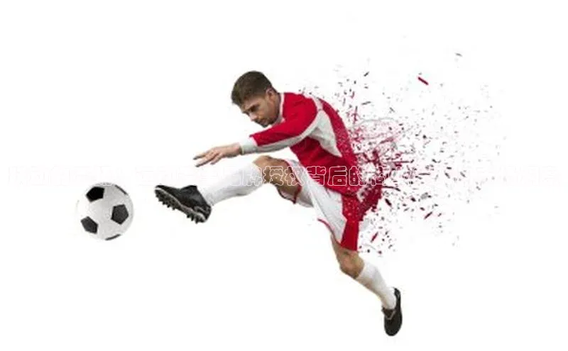 跃动的赛场：运动赛事品牌授权背后的商业策略与市场洞察