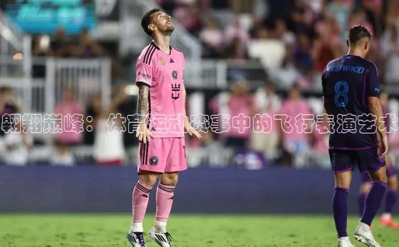 翱翔巅峰：体育运动赛事中的飞行表演艺术