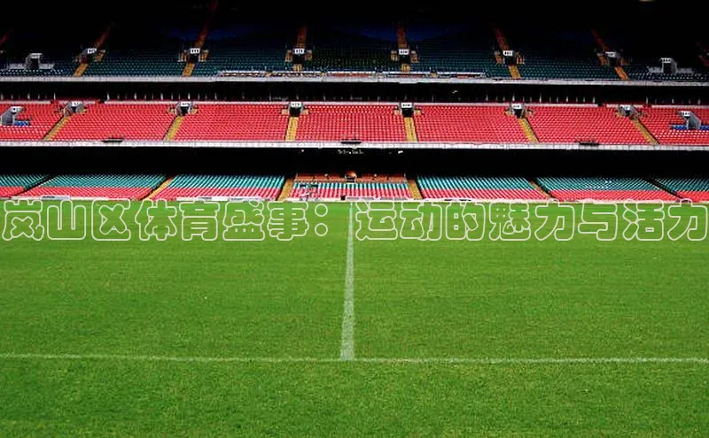 岚山区体育盛事：运动的魅力与活力
