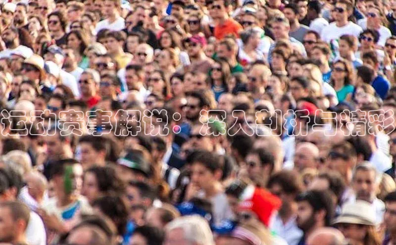 运动赛事解说：深入剖析与精彩