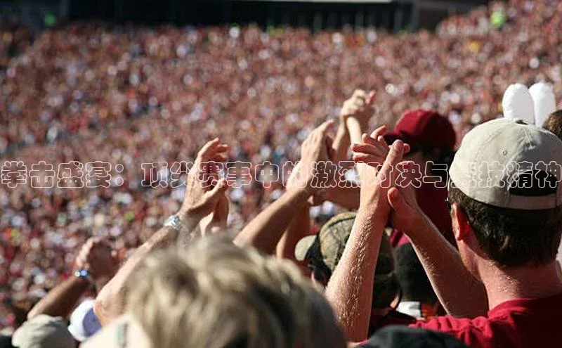 拳击盛宴：顶尖赛事中的激烈对决与竞技精神