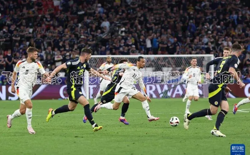 飞跃巅峰：精彩跳水赛事直播尽在眼前！