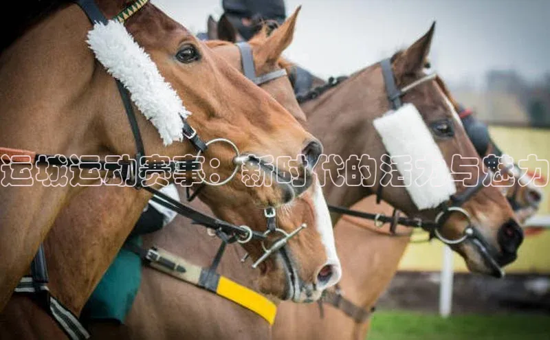 门徒拉菲9注册链接