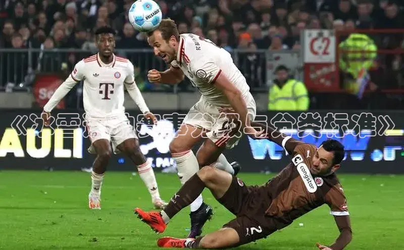 《冰雪运动赛事分级与分类标准》